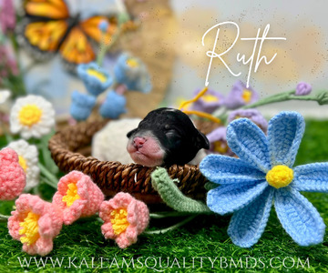 Ruth