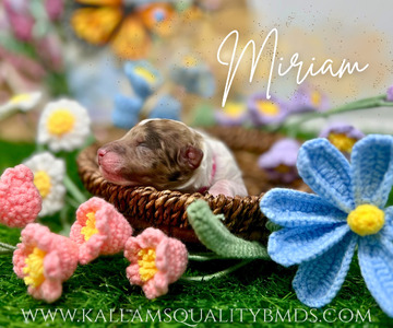 Miriam