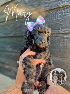 Mary