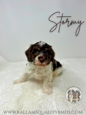 Stormy