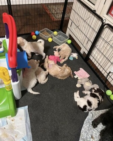 Expanding the play area